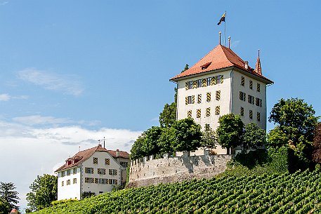 Schloss Heidegg 1875 erwarb das vermögende luzernisch-amerikanische Paar Louis und Caroline Pfyffer von Heidegg-Slidell das Schloss zurück, versah das Äussere der Anlage mit...